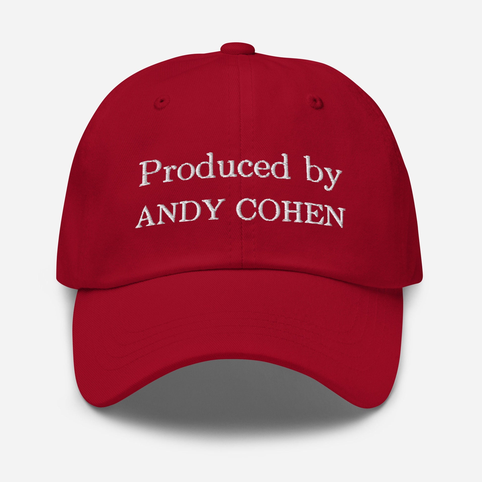 Andy Cohen Dad Hat - Gift for Reality TV fans - Handmade Embroidered Cotton Cap