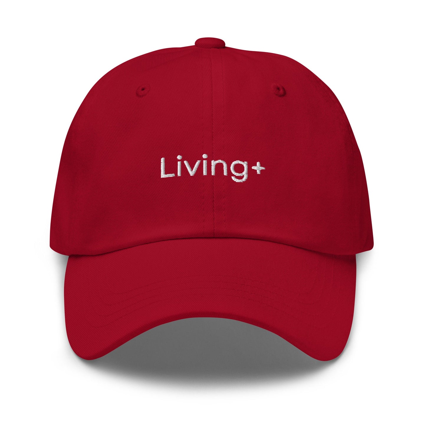 Succession hat - Living+ Waystar Studios Lifestyle Brand  - Cotton Embroidered Cap