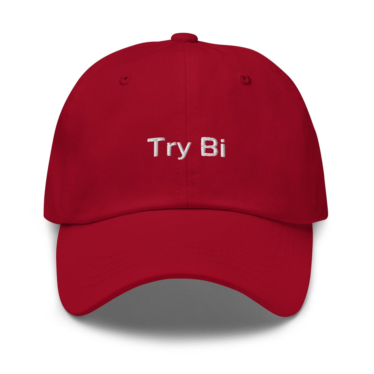 Try Bi Hat - Funny Bicurious Bisexual Pride embroidered Cap - Cotton