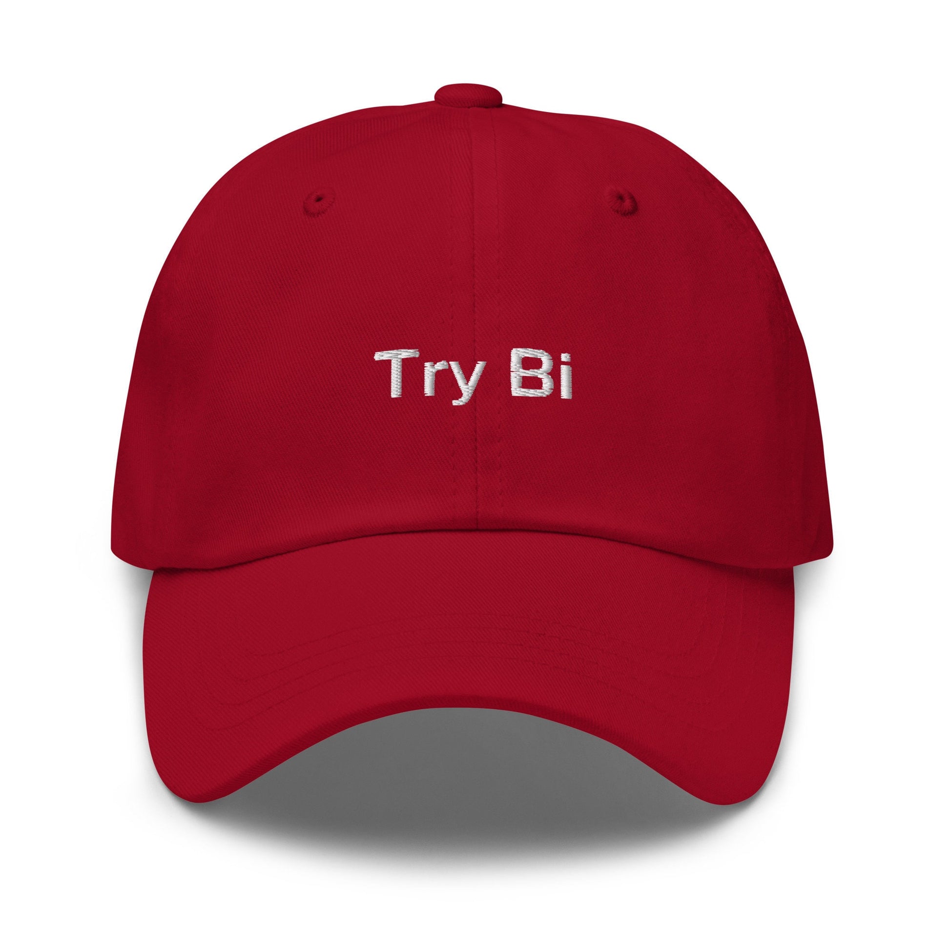 Try Bi Hat - Funny Bicurious Bisexual Pride embroidered Cap - Cotton