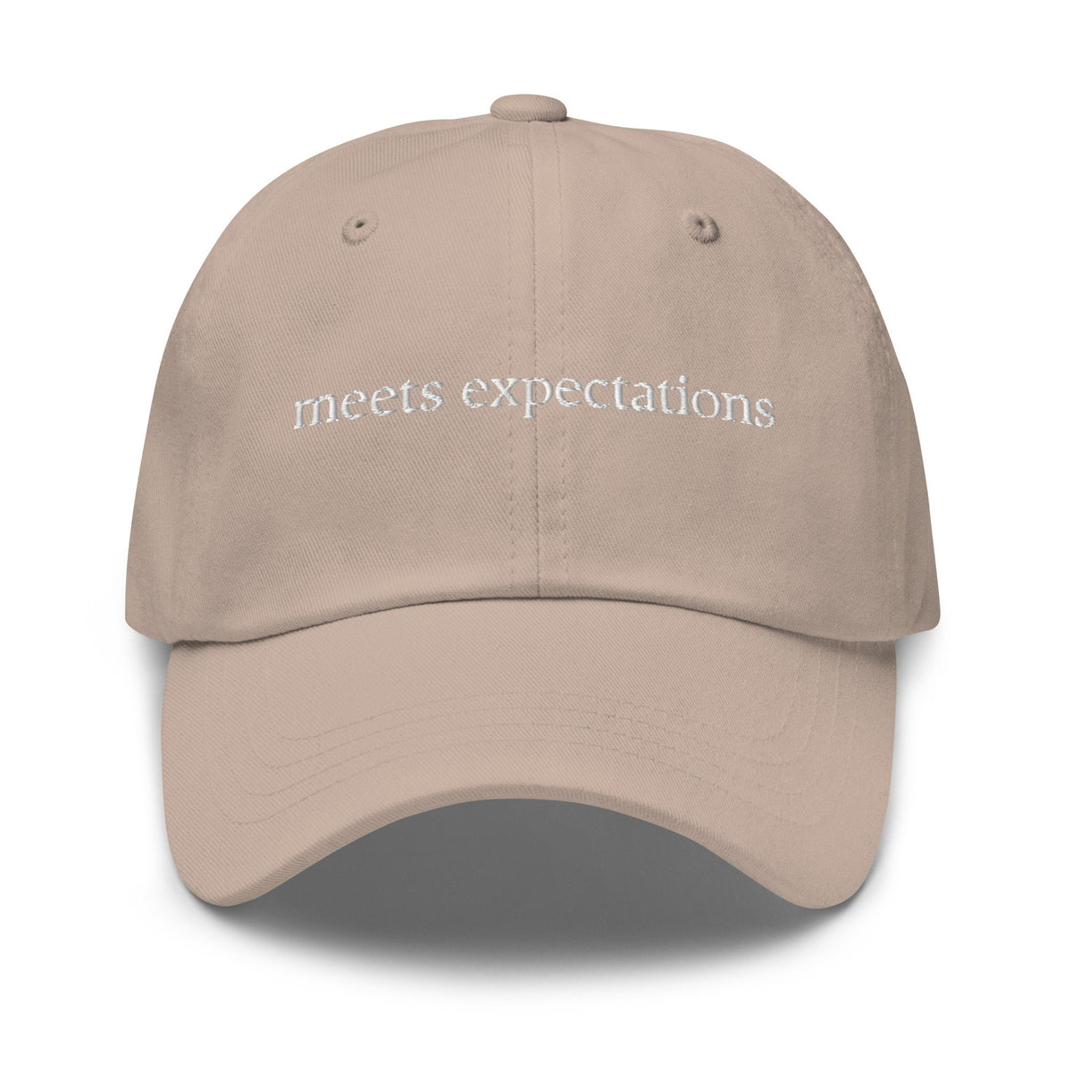 Meets Expectations Hat - Embrace Mediocrity - Performance Review - Multiple colors - Embroidered Minimalist Design - Low Profile Dad Fit
