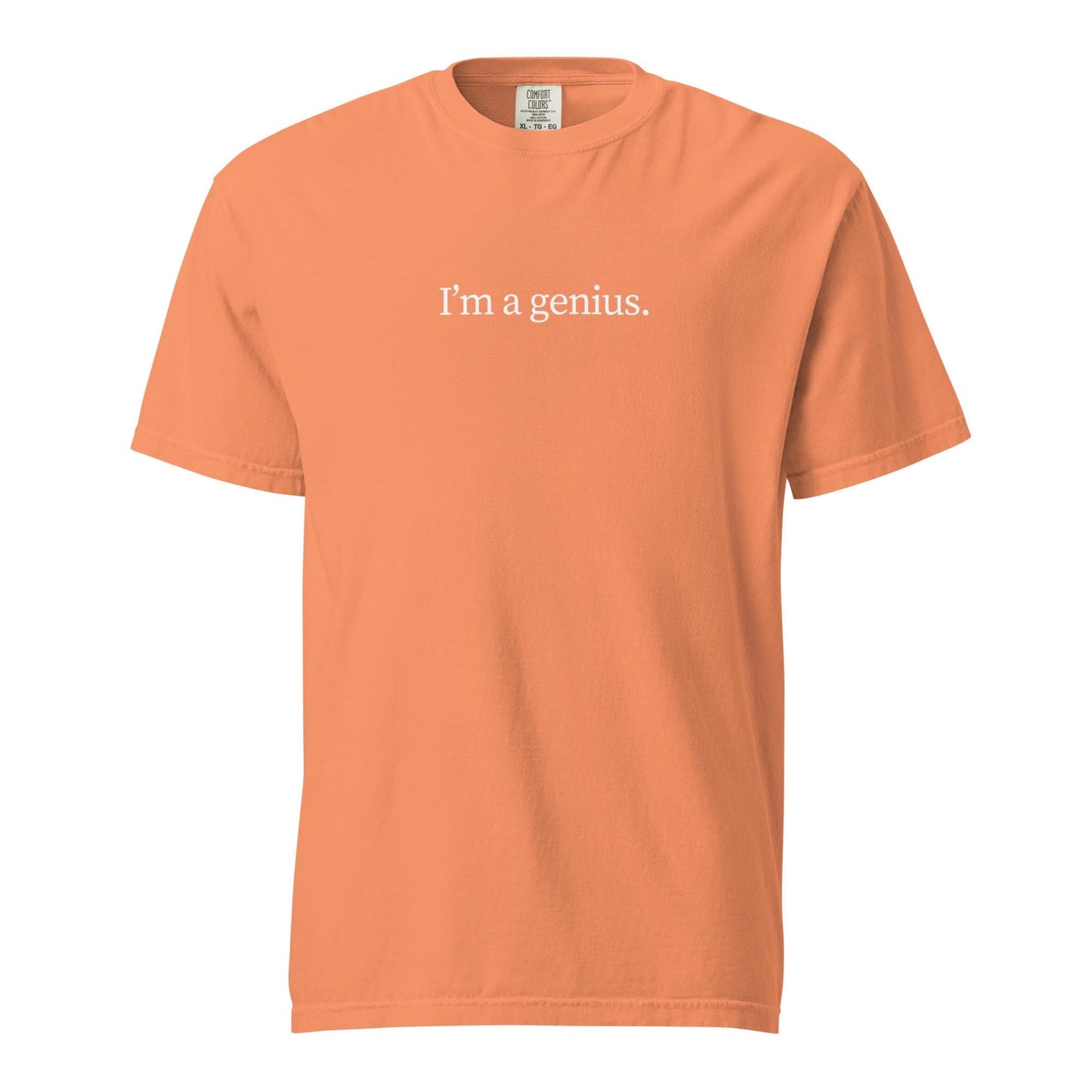 Genius T-Shirt - Funny Smart Ass Gift - heavyweight tee