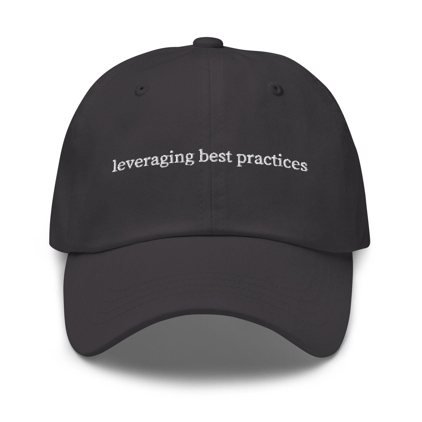 Leveraging Best Practices" Hat - Corporate Humor - Embroidered Cap