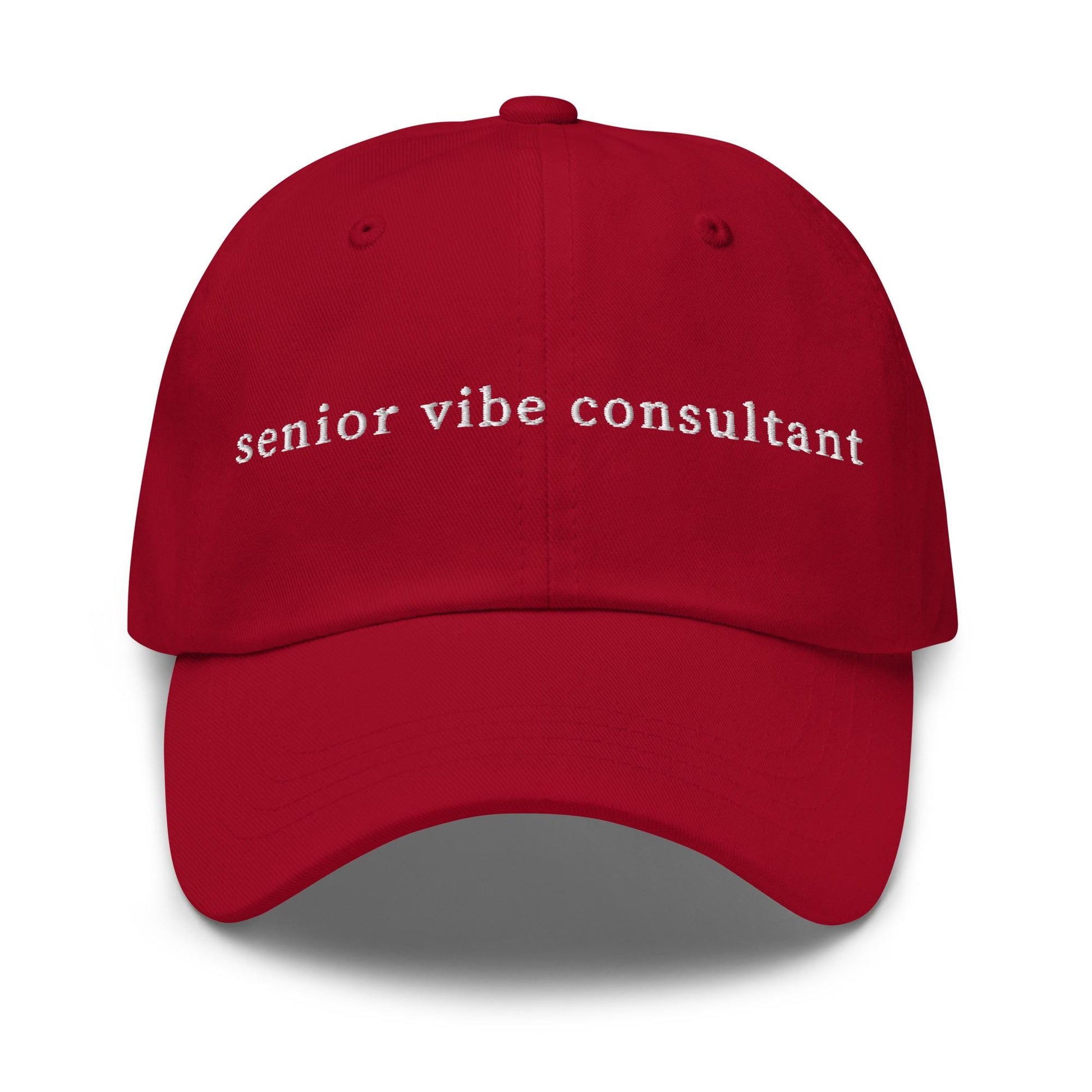 Senior Vibe Consultant Hat – Embroidered Funny Work Title Hat, Trendy Corporate-Core Dad Hat