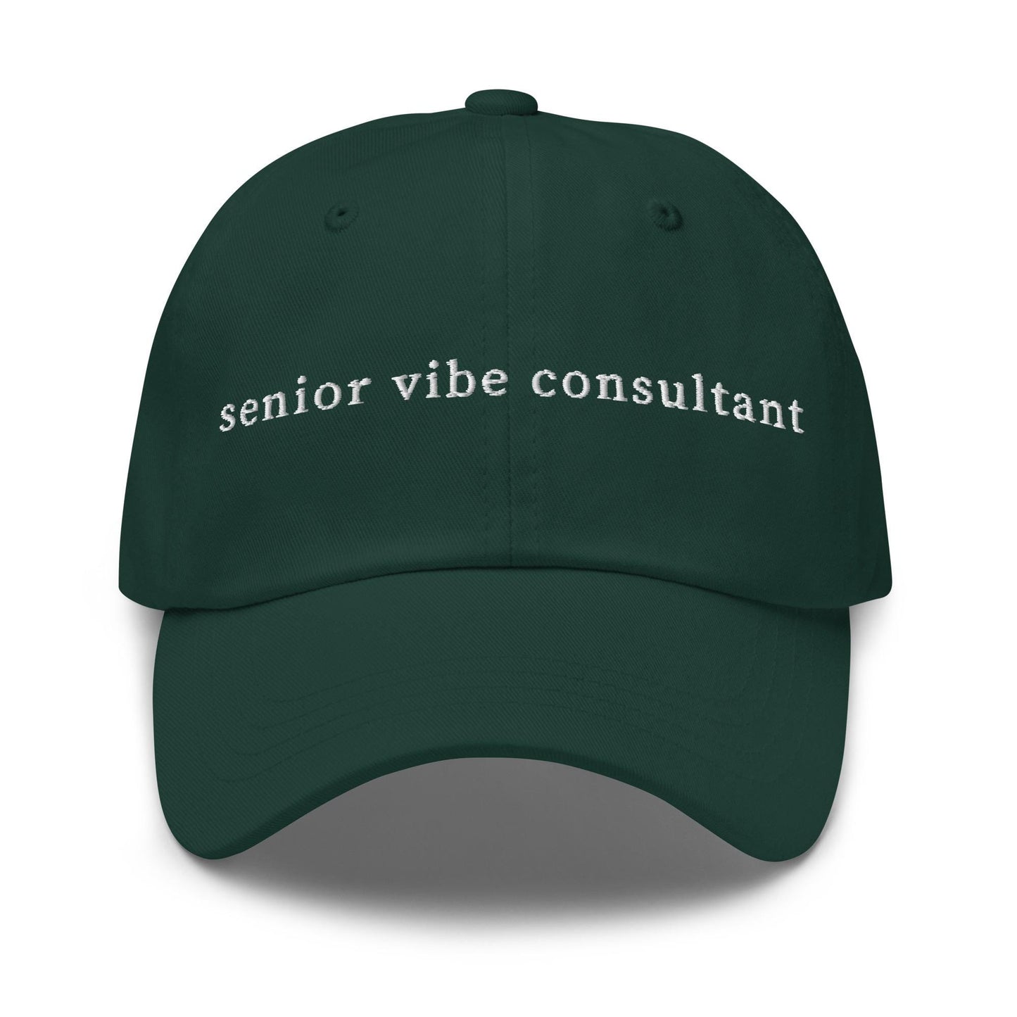 Senior Vibe Consultant Hat – Embroidered Funny Work Title Hat, Trendy Corporate-Core Dad Hat