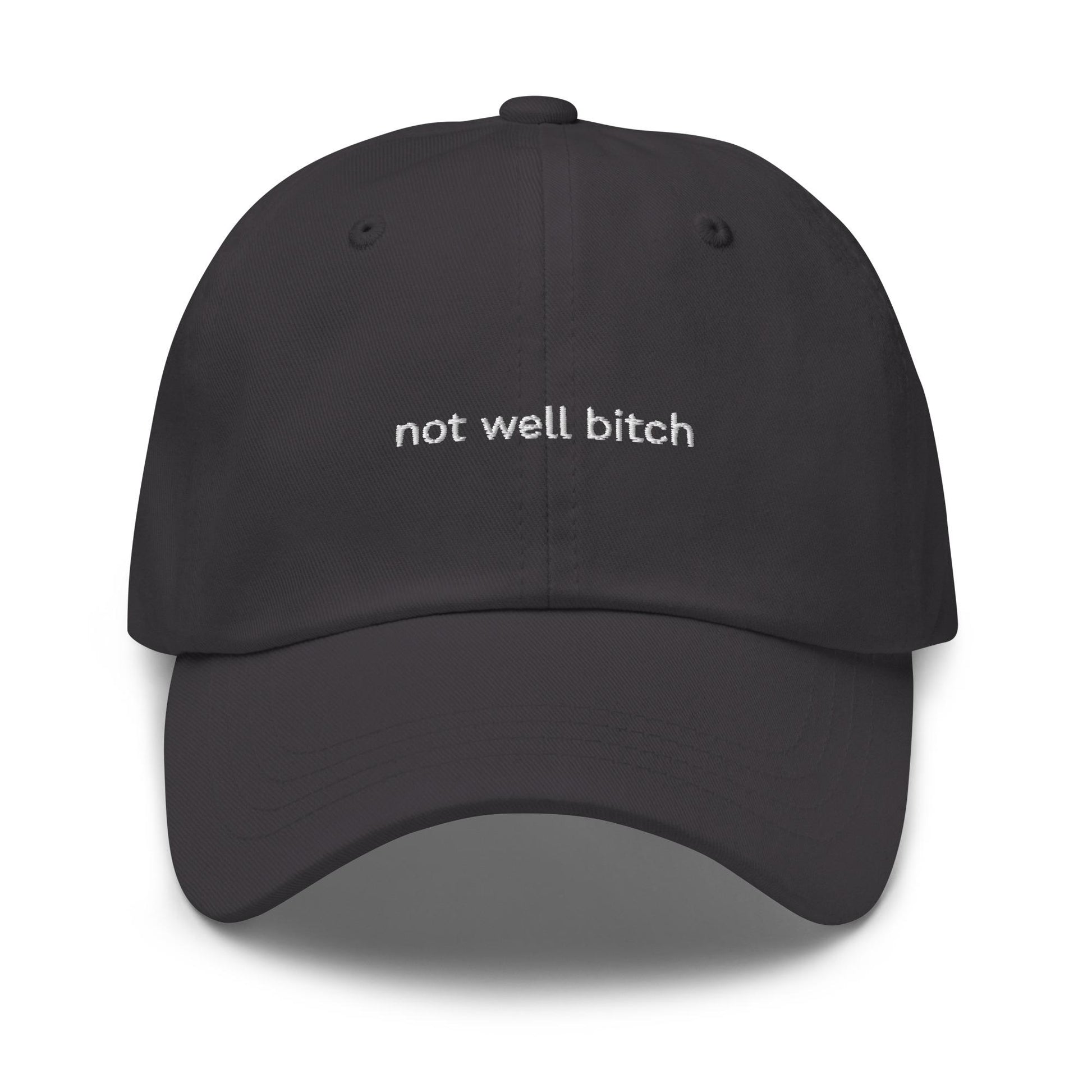 Not Well Bitch – Embroidered Dad Hat, Ironic Minimalist Cap, Custom Thread Colors