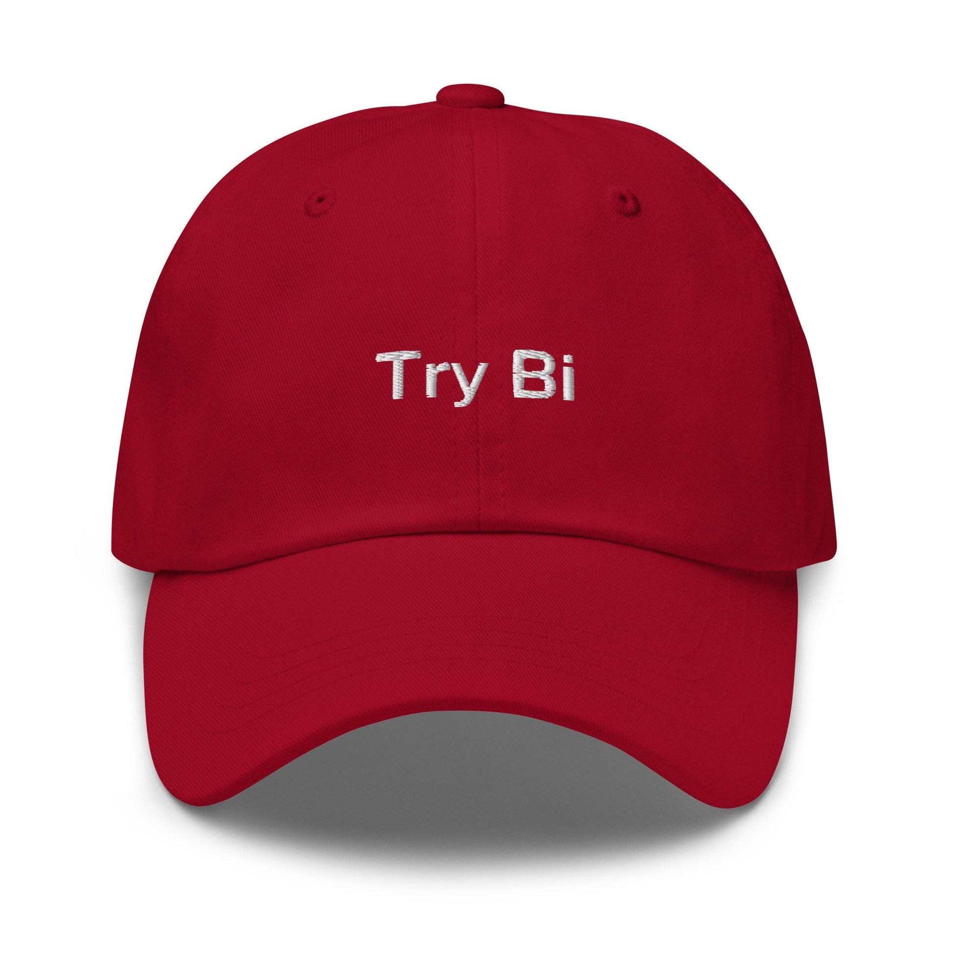 Try Bi Hat - Funny Bicurious Bisexual Pride embroidered Cap - Cotton - Evilwater Originals